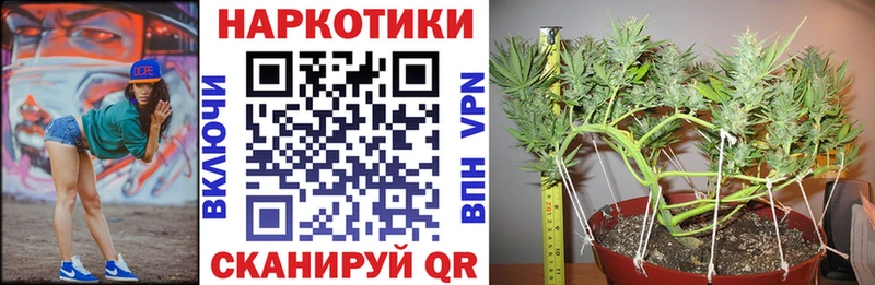 Купить наркотик Ртищево A PVP  ГАШ  Бутират  Cocaine  Псилоцибиновые грибы 