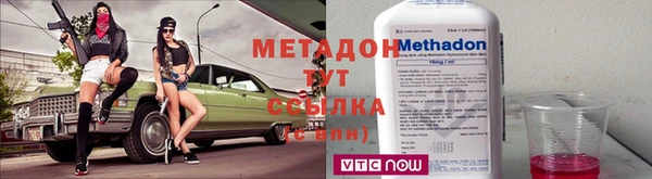 прущие грибы Няндома