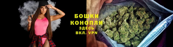 прущие грибы Няндома