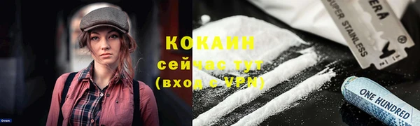 бошки Бронницы