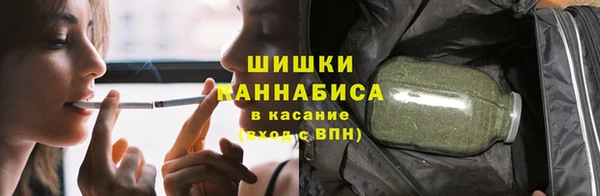 прущие грибы Няндома