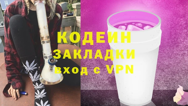 прущие грибы Няндома