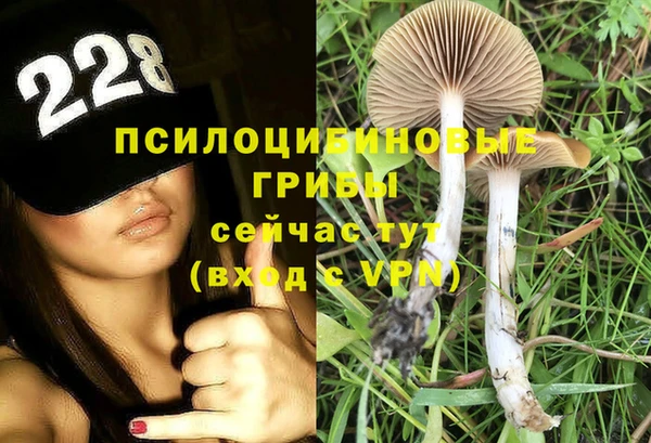 таблы Нязепетровск
