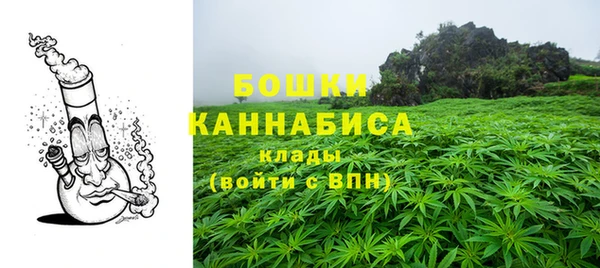 прущие грибы Няндома