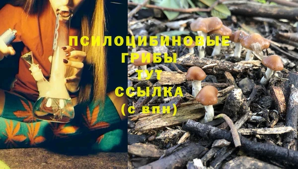 скорость Осинники