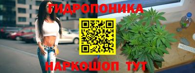 соль ск Бийск