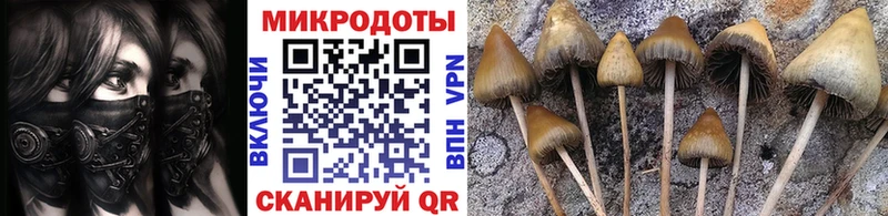 Галлюциногенные грибы GOLDEN TEACHER  дарнет шоп  Ртищево 