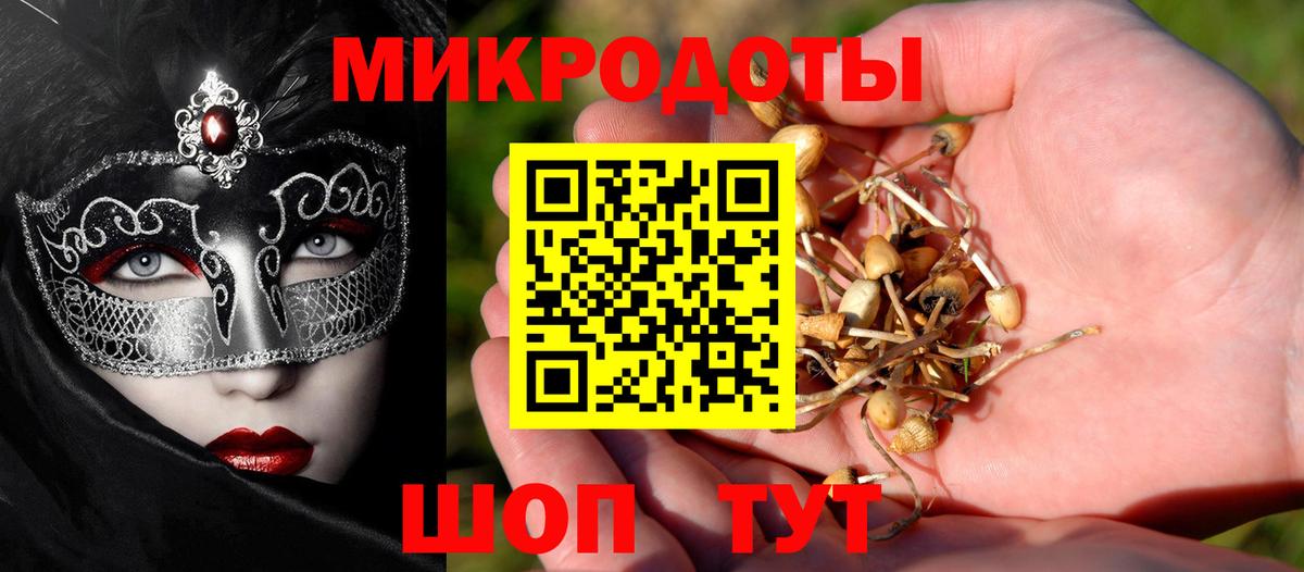 Псилоцибиновые грибы Psilocybe Ртищево